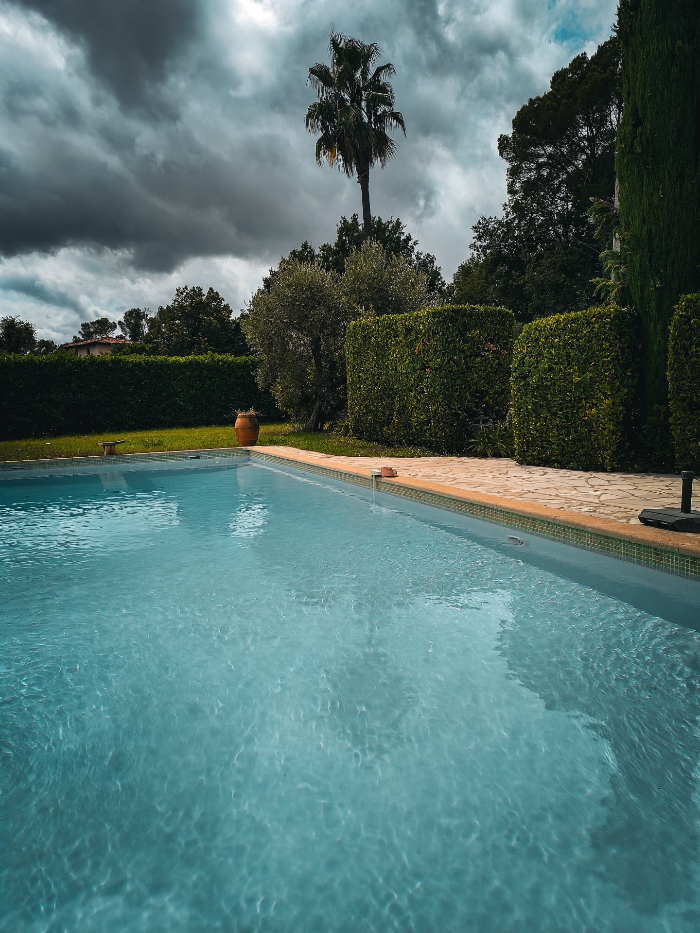 Piscine entourée de haies taillées et de palmiers