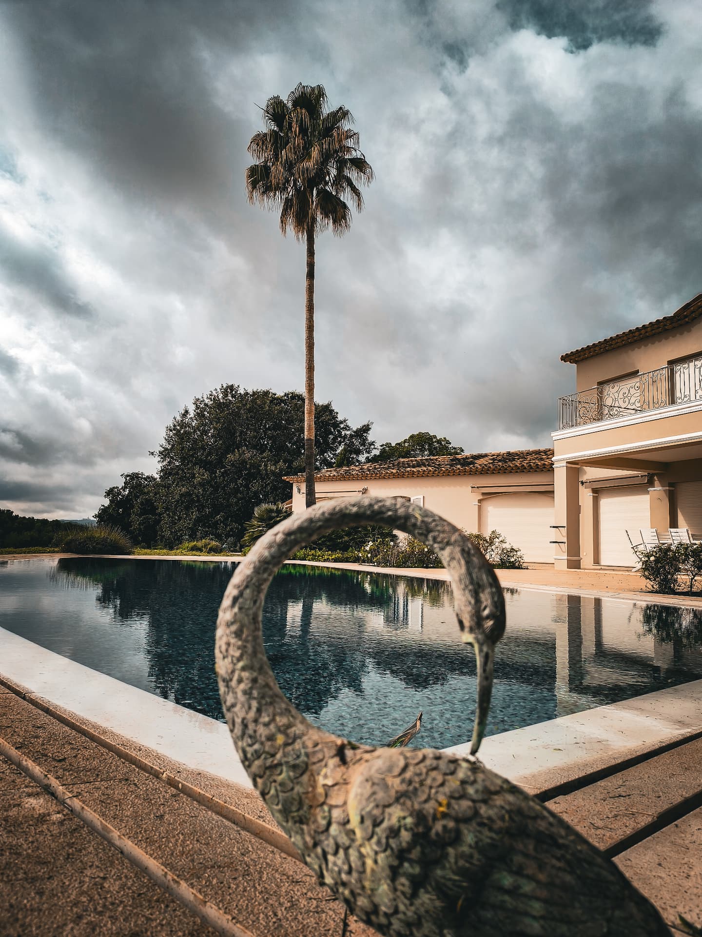 Piscine avec un palmier et une maison en arrière-plan